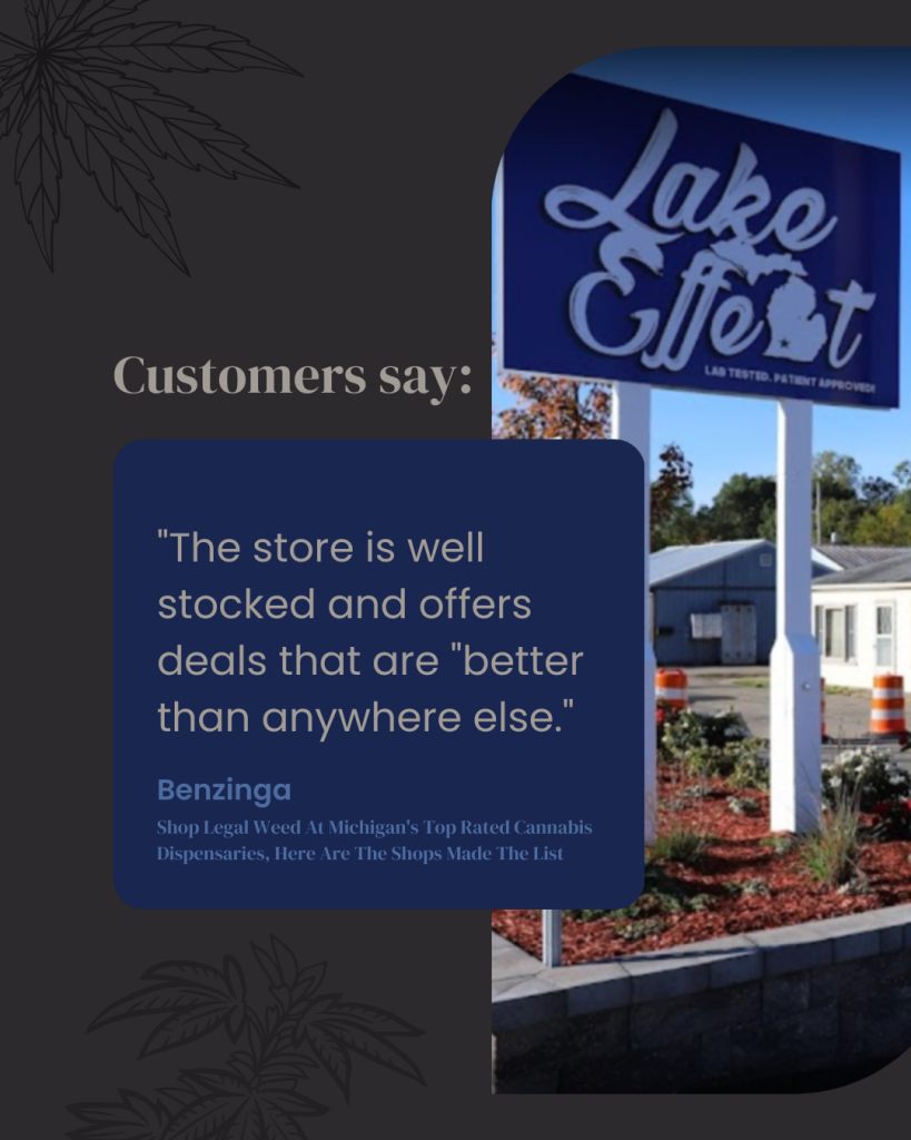 customer reviews lake effect portage