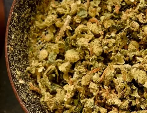 Smoking Flower? Why Consider Grinding Your Weed